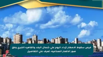 فرص سقوط الأمطار تزداد اليوم على شمال البلاد والقاهرة الكبرى وفق صور الأقمار الصناعية، تعرف على التفاصيل